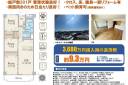 詳細情報