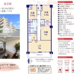 メゾンデュオーラ天王台_外観図